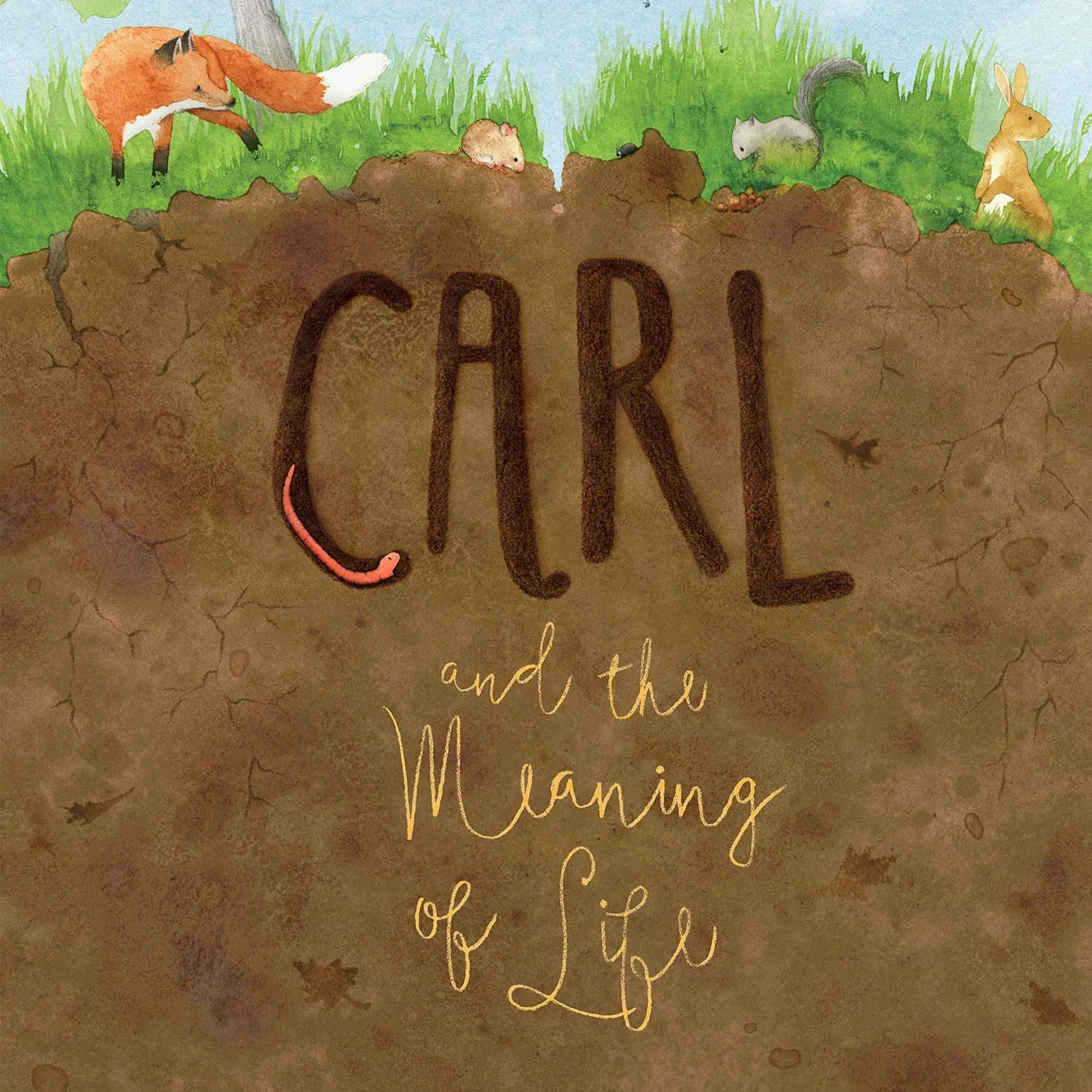 Carl and the Meaning of Life - Hardcover