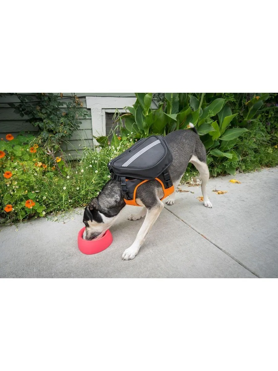 Clickit Terrain Dog Backpack Harness Accessory by Sleepypod