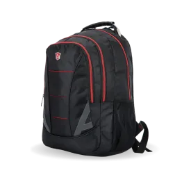 DISRUPTOR Executive 15.6'' Laptop Backpack